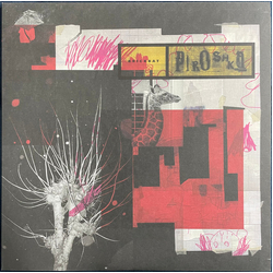 Piroshka Brickbat Vinyl LP USED
