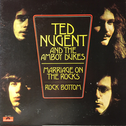 Ted Nugent / The Amboy Dukes Marriage On The Rocks - Rock Bottom Vinyl LP USED