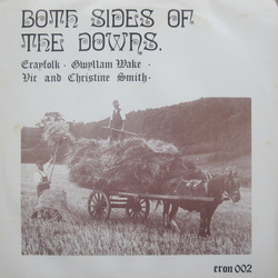 Various Both Sides Of The Downs Vinyl LP USED