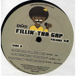 Various Fillin' Tha Gap Volume 40 Vinyl 12" USED