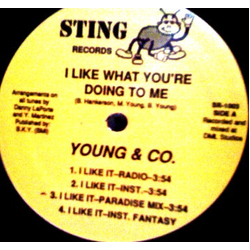 Young & Company I Like What You’re Doing To Me Vinyl 12" USED
