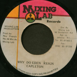 Capleton Why Do Eden Reign Vinyl 7" USED