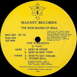 The New Sound Of Soul The Strength Vinyl 12" USED