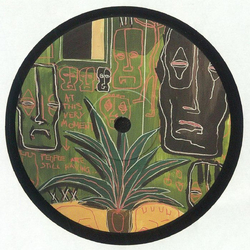 Demuja Plant On Canvas EP Vinyl 12" USED