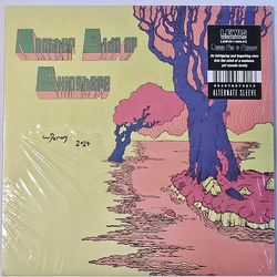 Skinshape Another Side Of Skinshape Vinyl LP USED