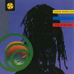 Caron Wheeler Livin' In The Light Vinyl 12" USED