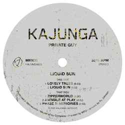 Private Guy Liquid Sun Vinyl 12" USED