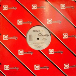 Timmy T What Will I Do? Vinyl 12" USED