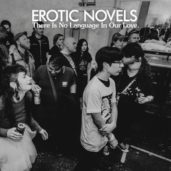 Erotic Novels There Is No Language In Our Love Vinyl LP USED