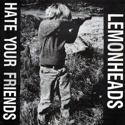 The Lemonheads Hate Your Friends Vinyl LP USED