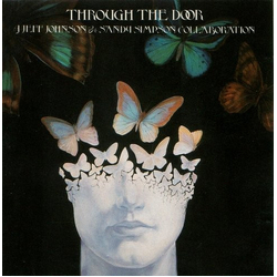 Jeff Johnson / Sandy Simpson Through The Door Vinyl LP USED