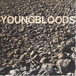 The Youngbloods Rock Festival Vinyl LP USED