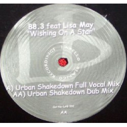 88.3 / Lisa May Wishing On A Star (Urban Shakedown Mixes) Vinyl 12" USED