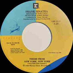 Frank Sinatra Theme From New York, New York / You And Me (We Wanted It All) Vinyl 7" USED