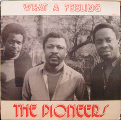 The Pioneers What A Feeling Vinyl LP USED