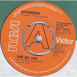 Butterscotch (2) Some Day Soon Vinyl 7" USED