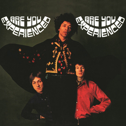 The Jimi Hendrix Experience Are You Experienced Vinyl LP USED