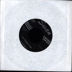 The McKinleys Someone Cares For Me Vinyl 7" USED