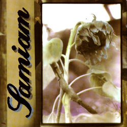Samiam Samiam Vinyl LP USED