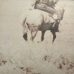 Bruce Langhorne The Hired Hand Vinyl LP USED