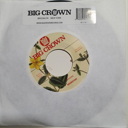 Brainstory Seasons Vinyl 7" USED