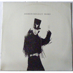 Andrew Ridgeley Shake Vinyl 12" USED