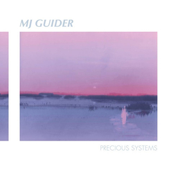 MJ Guider Precious Systems Vinyl LP USED