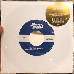 The Style Council / Sérgio Mendes & Brasil '66 My Ever Changing Moods / Triteza (Goodbye Sadness) Vinyl 7" USED