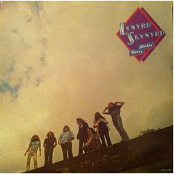 Lynyrd Skynyrd Nuthin' Fancy Vinyl LP USED