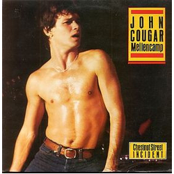 John Cougar Mellencamp Chestnut Street Incident Vinyl LP USED