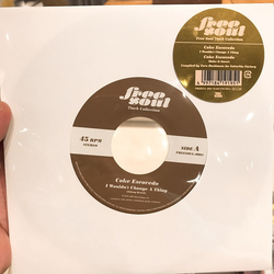 Coke Escovedo I Wouldn't Change A Thing / Make It Sweet Vinyl 7" USED