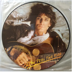 Ron Wood I Can Feel The Fire Vinyl 12" USED