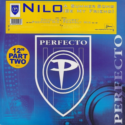Nilo A Summer Song (Be My Friend) Vinyl 12" USED
