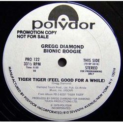 Gregg Diamond / Bionic Boogie Tiger Tiger (Feel Good For A While) / Take The Boogie Home Vinyl 12" USED