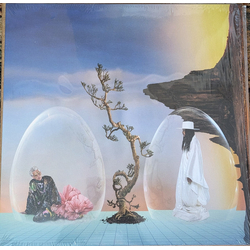Empire Of The Sun Ask That God Vinyl LP USED