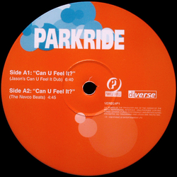 Parkride Can You Feel It? Vinyl 12" USED