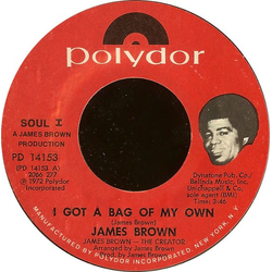 James Brown I Got A Bag Of My Own Vinyl 7" USED