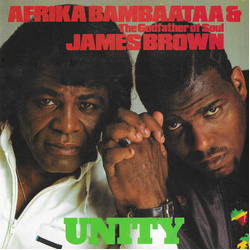 Afrika Bambaataa / James Brown Unity Vinyl 7" USED