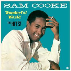 Sam Cooke Wonderful World (The Hits) Vinyl LP USED