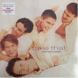 Take That Everything Changes Vinyl LP USED