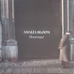 Amalia Bloom Picturesque Vinyl LP USED