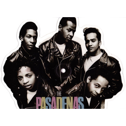 The Pasadenas Tribute Vinyl 7" USED