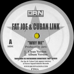 Fat Joe / Cuban Link Why Me? Vinyl 12" USED