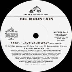 Big Mountain Baby, I Love Your Way Vinyl 12" USED