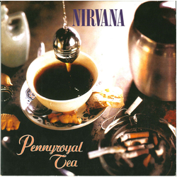 Nirvana Pennyroyal Tea Vinyl 7" USED