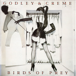 Godley & Creme Birds Of Prey Vinyl LP USED