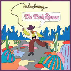 The Pink Stones Introducing...The Pink Stones Vinyl LP USED