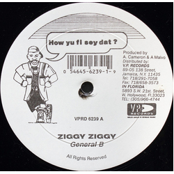 General B / Captain Barkey Ziggy Ziggy / Some Gal Vinyl 12" USED