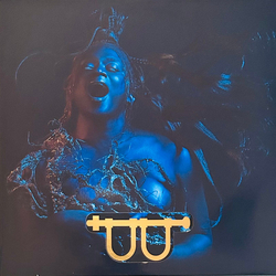 Lotic Water Vinyl LP USED