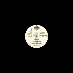 Junior (2) Do You Really (Want My Love) Vinyl 12" USED